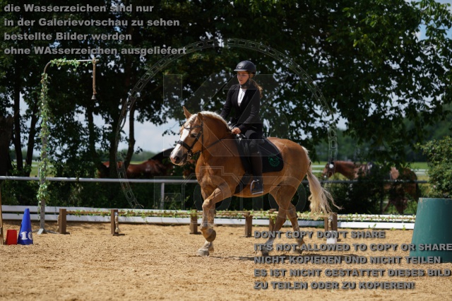s_K3F04484.JPG